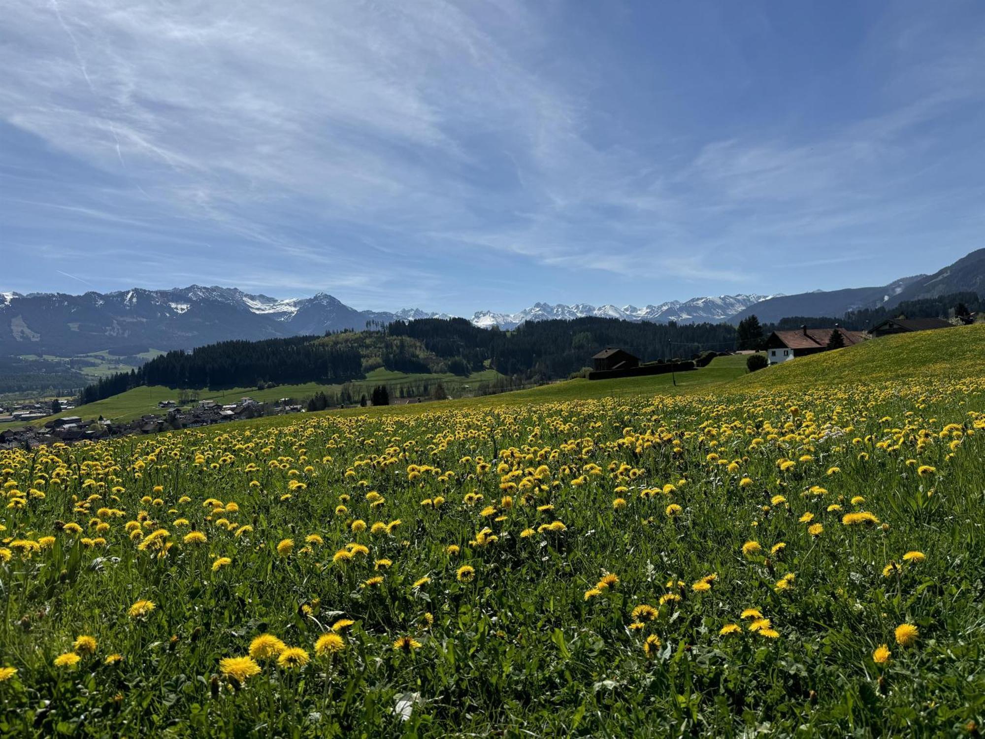 Probst Apartment Ofterschwang